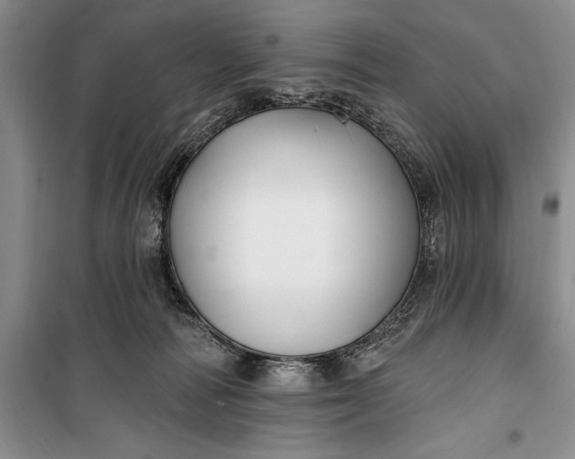 X0000100210226200806131259