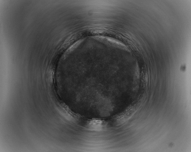 X0000100210227200806131259