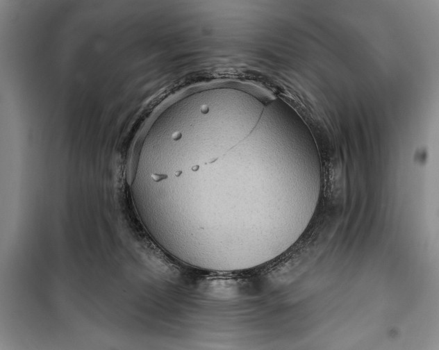 X0000100210228200806131259