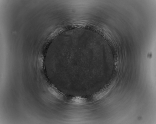 X0000100210231200806131259