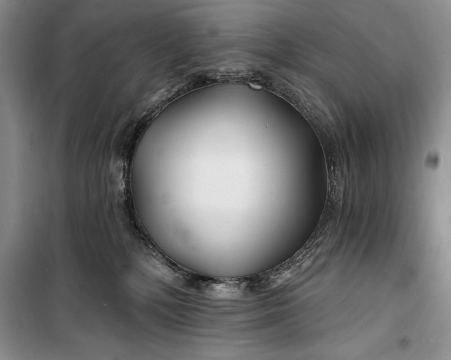 X0000100210232200806131259