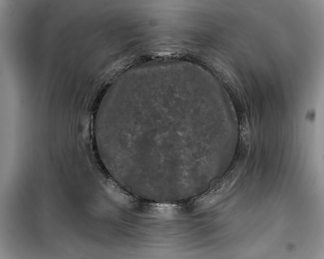 X0000100210233200806131259