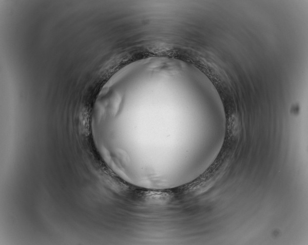 X0000100210234200806131259