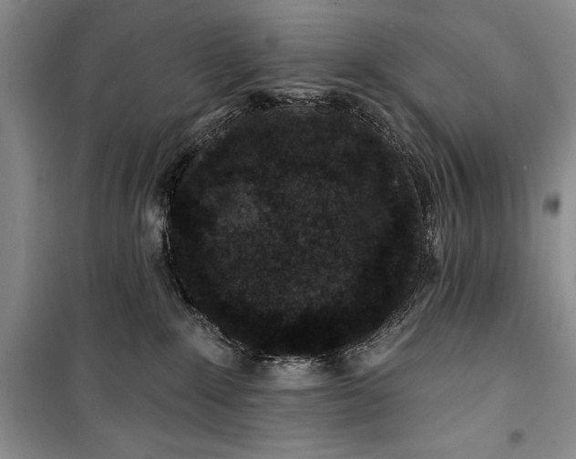 X0000100210235200806131259