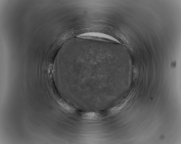 X0000100210237200806131259