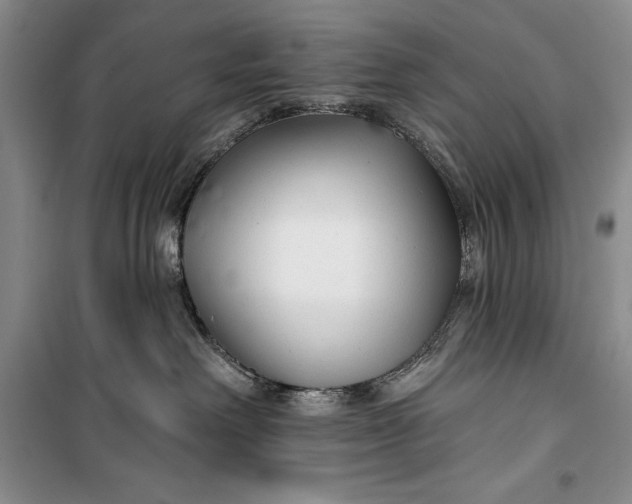 X0000100210238200806131259