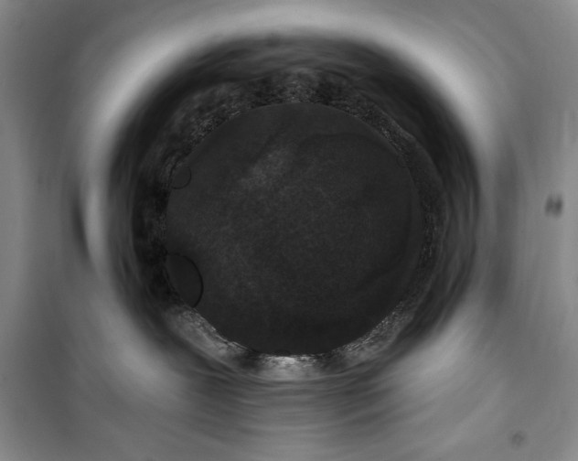 X0000100210239200806131259