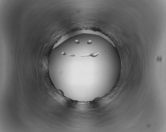 X0000100210240200806131259