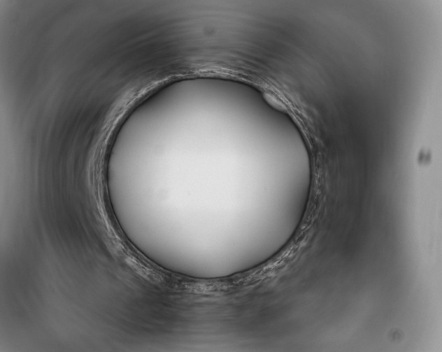 X0000100210241200806131258