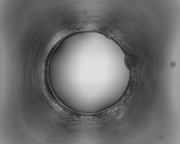 X0000100210242200806131258