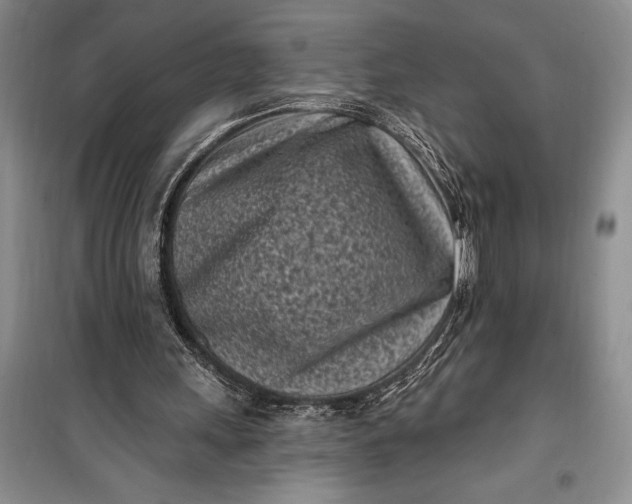 X0000100210243200806131258