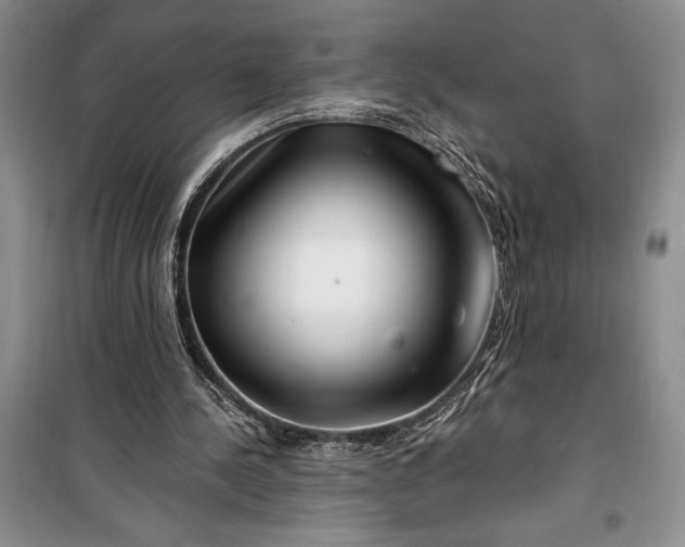 X0000100210244200806131258