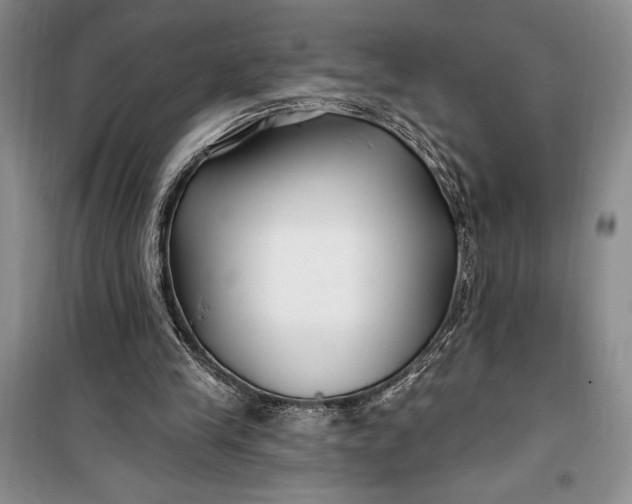 X0000100210245200806131258