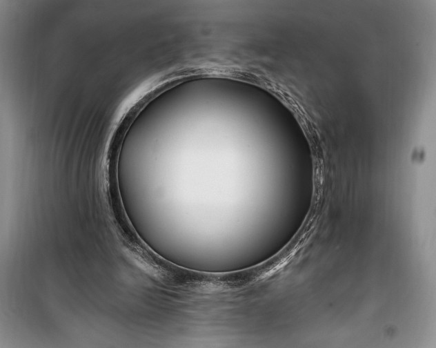 X0000100210246200806131258