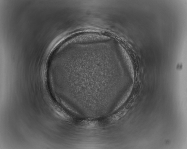 X0000100210247200806131258