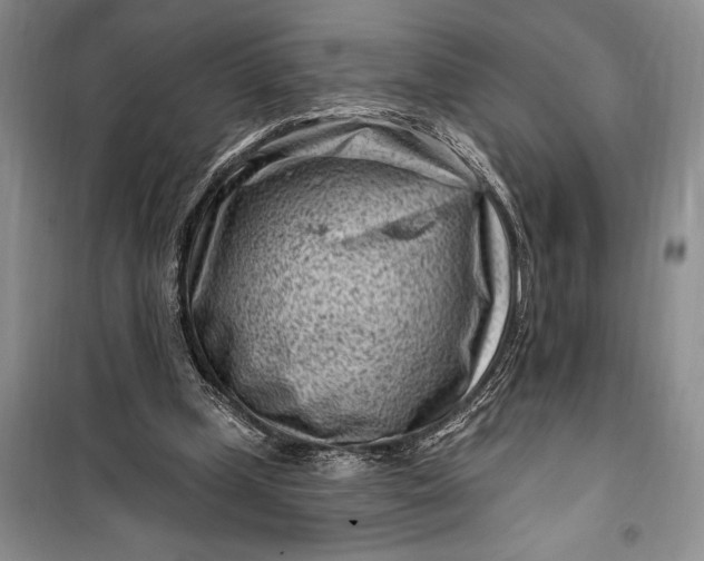 X0000100210249200806131258