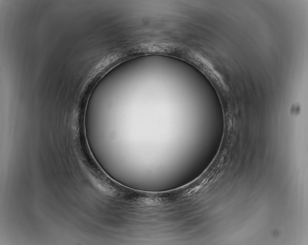 X0000100210250200806131258