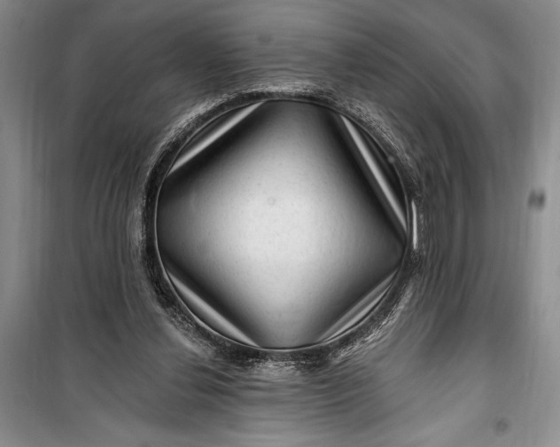 X0000100210252200806131258