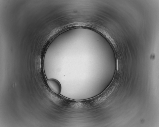 X0000100210253200806131258