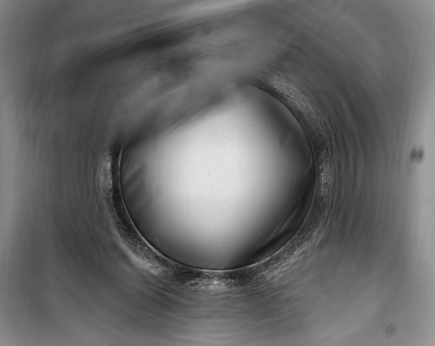 X0000100210254200806131258