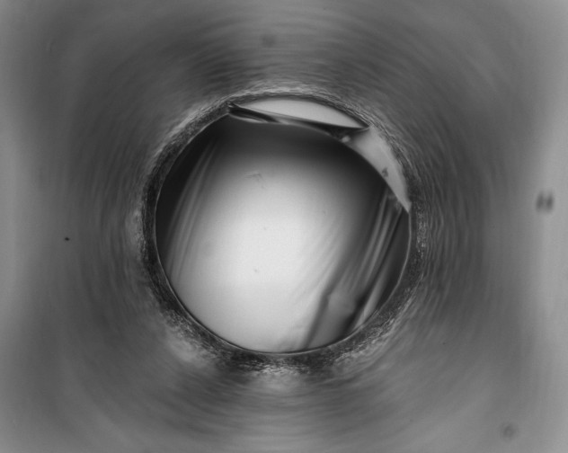 X0000100210256200806131258