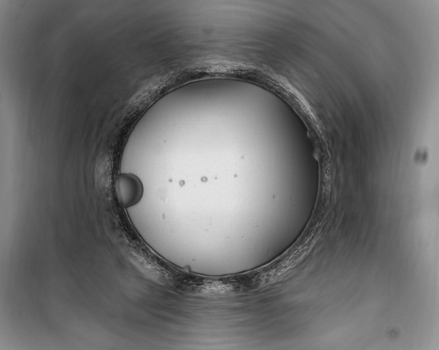 X0000100210257200806131258