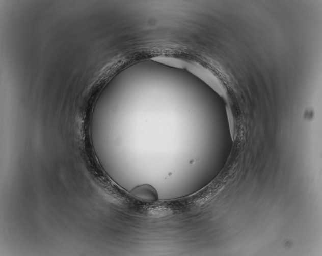 X0000100210258200806131258