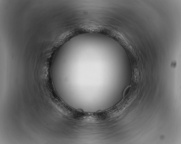 X0000100210259200806131258