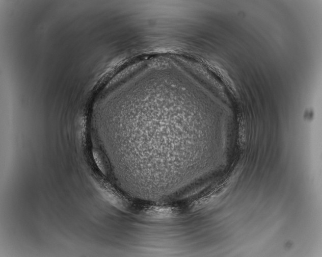 X0000100210260200806131258