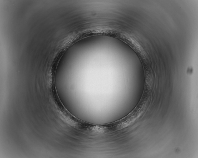 X0000100210261200806131259