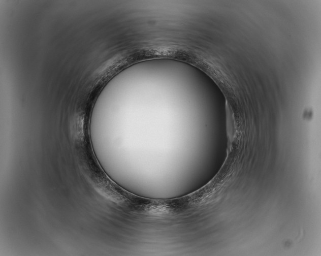 X0000100210262200806131259