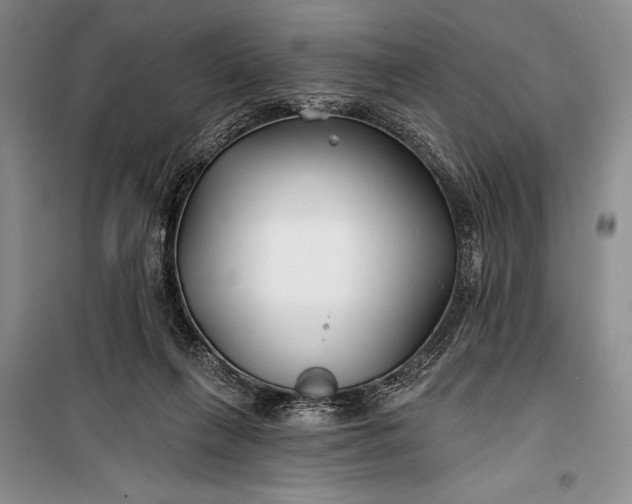 X0000100210263200806131259