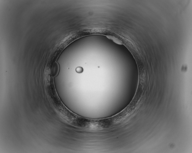 X0000100210264200806131259