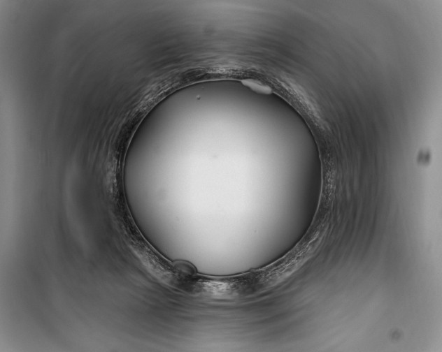 X0000100210265200806131259