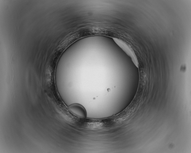 X0000100210266200806131259