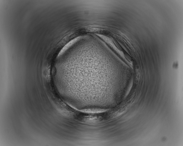 X0000100210267200806131259