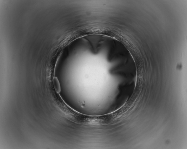 X0000100210268200806131259