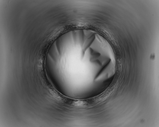 X0000100210269200806131259