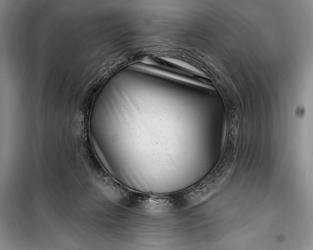 X0000100210270200806131259