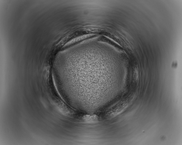 X0000100210271200806131259