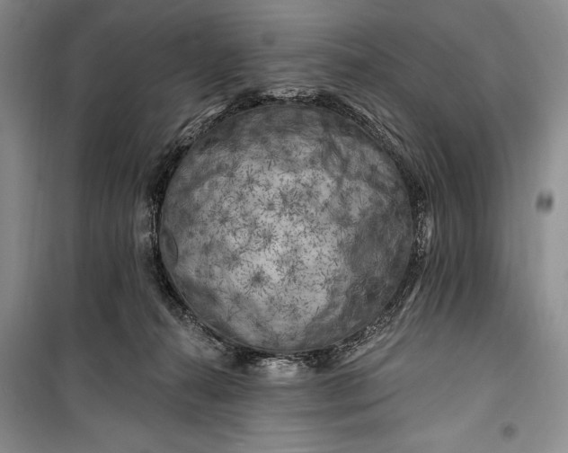 X0000100210272200806131259