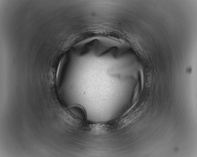 X0000100210273200806131259