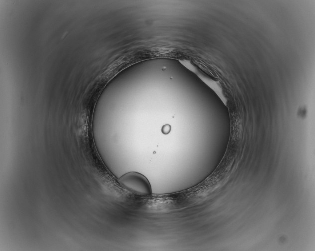 X0000100210274200806131259