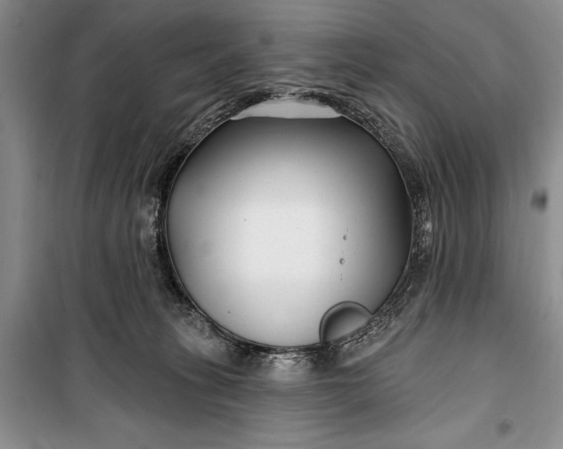 X0000100210275200806131259