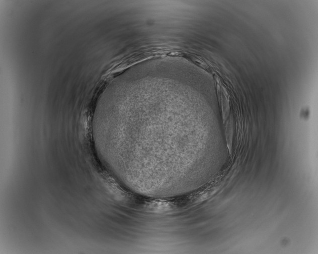 X0000100210276200806131259