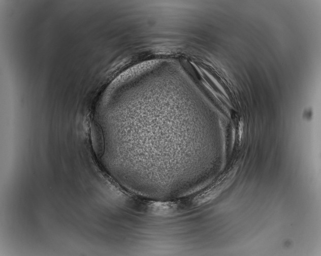 X0000100210277200806131259