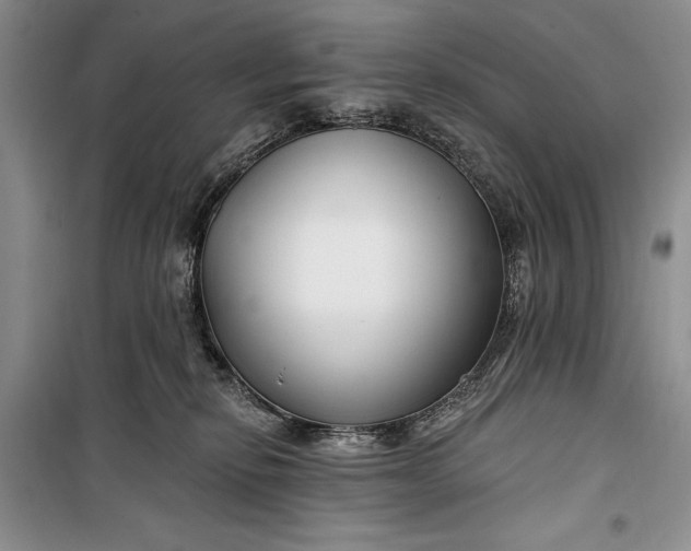 X0000100210278200806131259