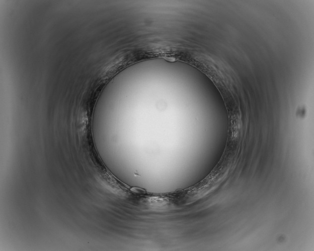 X0000100210279200806131259