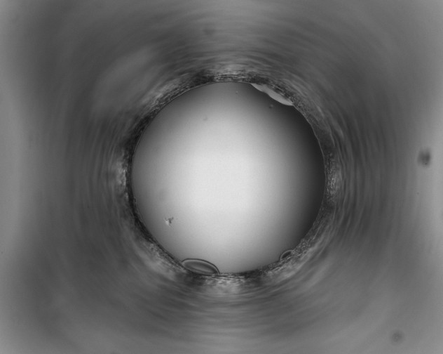 X0000100210282200806131259