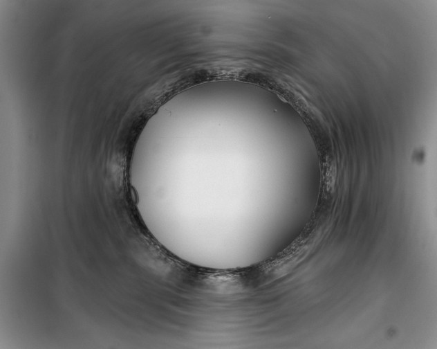 X0000100210283200806131259